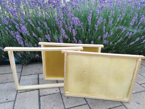 Węza pszczela Wielkopolska - 1kg, badana - Łysoń na Arena.pl