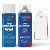 lakier samochodowy w sprayu + bezbarwny połysk renault dv369 blanc glacier