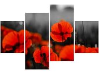 140CM 70 OBRAZ SIAŁA BABA MAK JENNY DOWNING ŚCIENNY