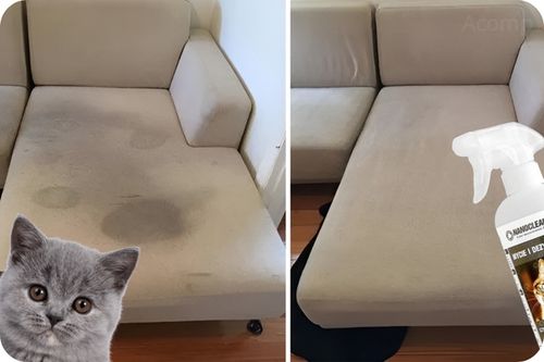 NANOCLEAN AC8 neutralizator zapachu moczu KOTA, na pchły,kleszcze Atest PZH na Arena.pl