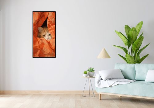 Plakat 50x100cm Ukryty Kot na Arena.pl