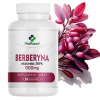 BERBERYNA HCL berberys ekstrakt 98% odchudzanie, na obniżenie cukru 500 mg