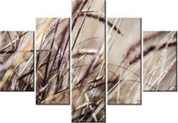 product-compare-58676578