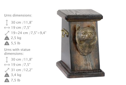 Chihuahua - urna - 4204 na Arena.pl