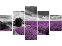 75CM 120 OBRAZ 5 ELEM LAWENDA ŚCIENNY DRUK