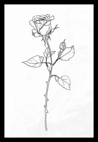 Plakat 20x30cm Kontur Róży zdjęcie 2