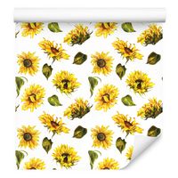 product-compare-45671057