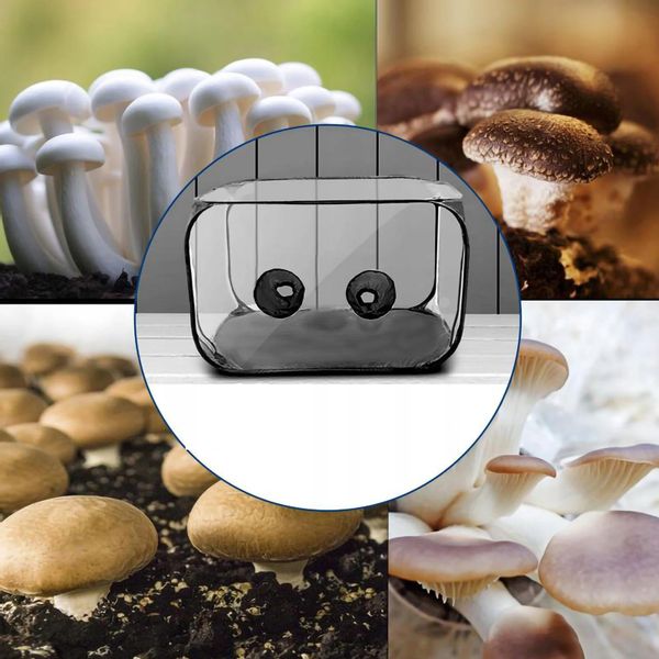 Namiot POJEMNIK do DOMOWEJ UPRAWY GRZYBÓW Składany MOBILNY Przenośny XL zdjęcie 5