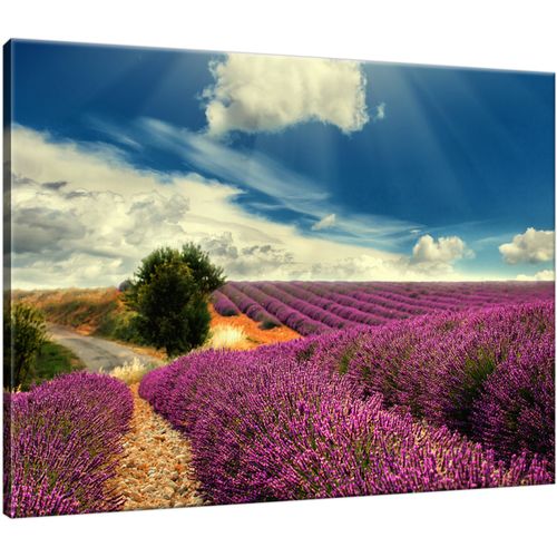 40X30 Obraz Na Prawdziwym Płótnie na Arena.pl