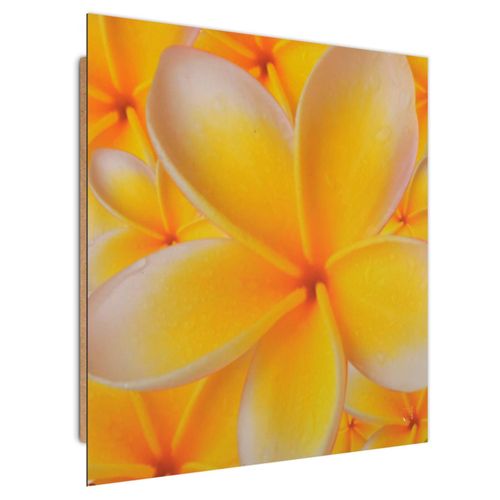 Deco Panel, Kwiat plumerii 30x30 na Arena.pl