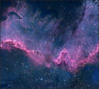 Tło do fotografii produktowej kulinarnej Flat Lay