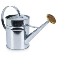 Konewka Metalowa Domowa Ogrodowa do Podlewania Roślin Kwiatków 1,9L