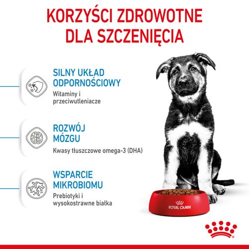 royal canin maxi puppy 1kg na Arena.pl