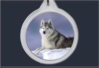 product-compare-54509490