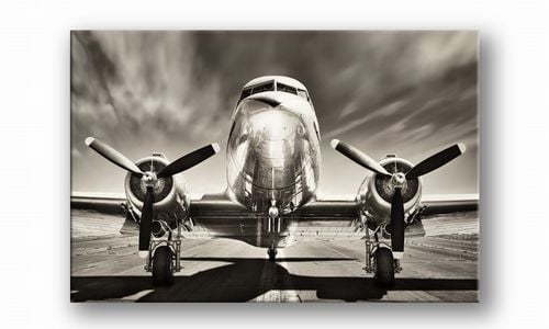 OBRAZ NA PŁÓTNIE 134 Samolot 40x30cm na Arena.pl