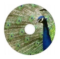 Nadruk na płycie Maxell DVD-R 4,7G 16x 032