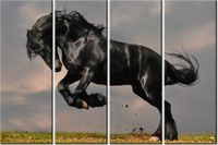 product-compare-58698614