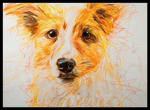 Plakat 55x40cm Uroczy Gość na Arena.pl