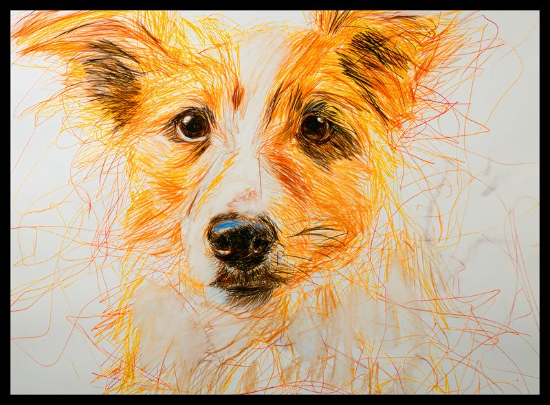 Plakat 55x40cm Uroczy Gość zdjęcie 2