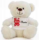 Miś w koszulce z Twoim napisem imię Walentynki PREZENT