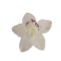 product-compare-61191221