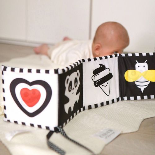 ZESTAW EDUKACYJNY DLA DZIECI na Arena.pl