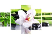 product-compare-58706728