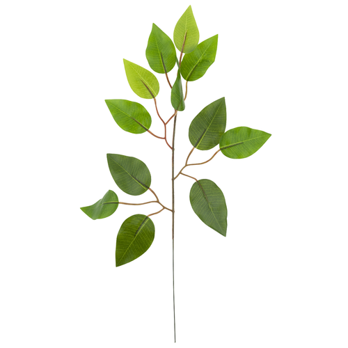 CV07555 LIŚĆ FIKUSA GAŁĄZKA OZDOBNA DEKORACYJNA FICUS na Arena.pl