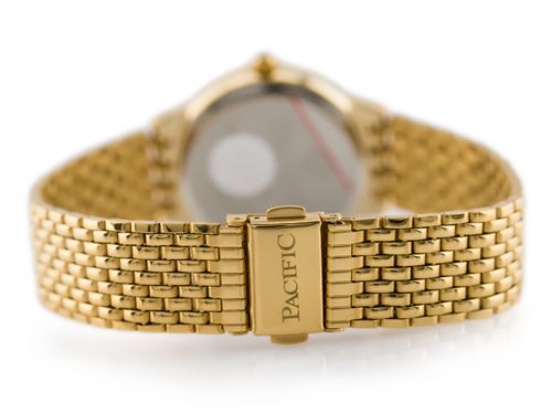 PACIFIC A675 (zy575b) na Arena.pl