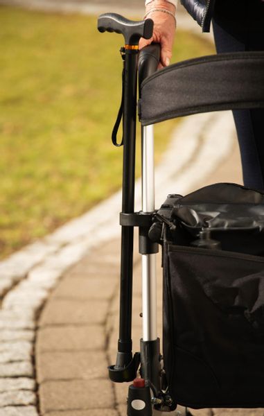 Ridder Assistent Mio chodzik dla dorosłych zdjęcie 13