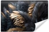 Fototapeta Czarno-Złote PIÓRA Abstrakcja 3D Styl Glamour 400cm x 280cm