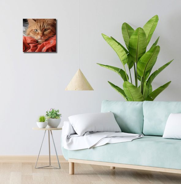 Obraz 30x30cm Mruczący Spokój zdjęcie 2