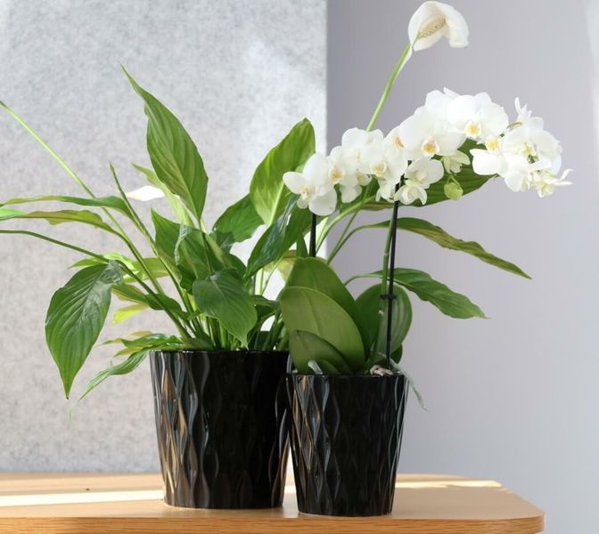 DONICZKA OSŁONKA CERAMICZNA CZARNA 16 CM zdjęcie 3