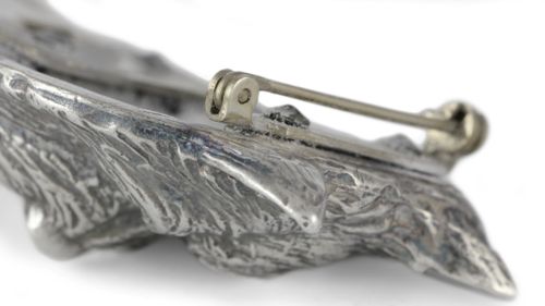 Norwich Terrier - klips - 689 na Arena.pl