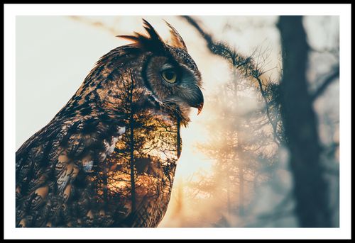 Plakat 86,4x56,8cm Sowi Duch na Arena.pl