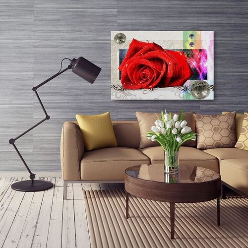 Obraz na płótnie - Canvas, Czerwona róża 70x50 na Arena.pl