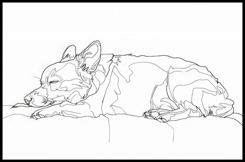 Plakat 91,5x60cm Śpiący Psiak na Arena.pl