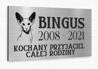 NADRUK Tabliczka nagrobna nagrobkowa dla psa kota nierdzewna srebrna 20x10