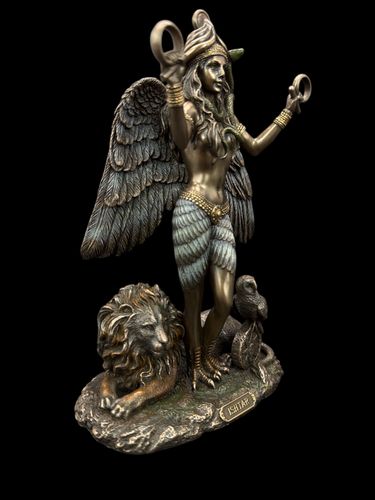 BOGINI WOJNY ISZTAR  VERONESE  WU77870A4 na Arena.pl