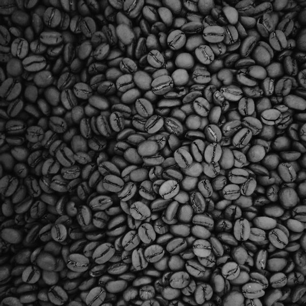 Kawa ziarnista Coffee Journey Yellow Blend 1kg zdjęcie 5