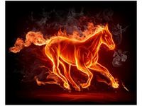 40X50CM OGNISTY KOŃ OBRAZ
