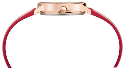 Zegarek Timex Easy Reader Color Pop TW2R62800 Indiglo na Arena.pl