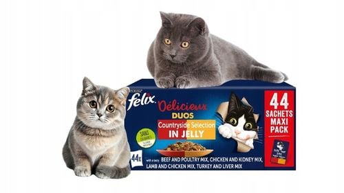 FELIX FANTASITC 44x85G DUOS DUO Podwójny smak | z NIEMIEC na Arena.pl