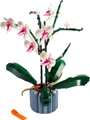 LEGO Botanical Collection Orchidea 10311 - dekoracyjny model dla dorosłych na Arena.pl