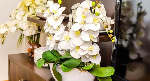 PODPÓRKA DO STORCZYKÓW PODPORA ROŚLIN 10szt 50cm na Arena.pl