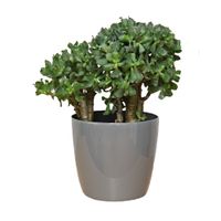 Doniczka osłonka połysk Szary śred. 300 mm H 265 mm