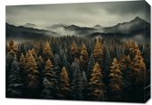 Obraz 70x50cm Mglisty Poranek