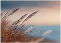 Fototapeta Na Flizelinie Do Sypialni Salonu Trawa 350x250