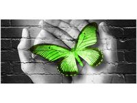OBRAZ GREEN BUTTERFLY MOTYL DŁOŃ CEGŁA