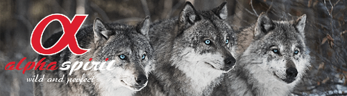 Alpha Spirit Karma MULTIPROTEIN 10x200g Półmiękka karma dla psa na Arena.pl